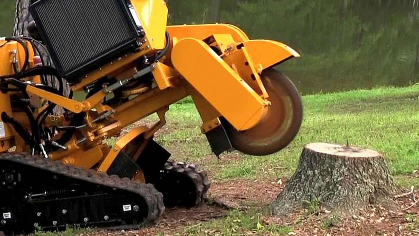 Commercial Stump Grinding Services Clermont County OH