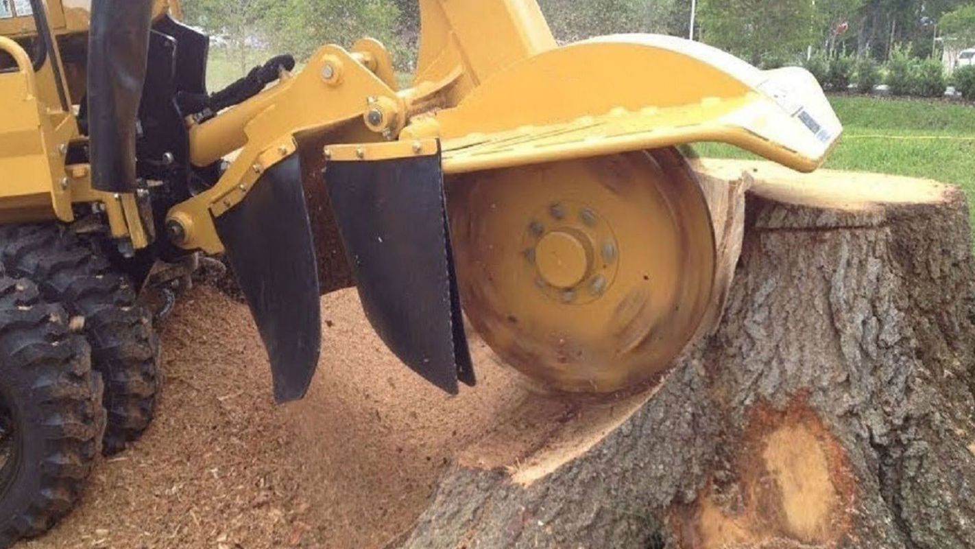 Residential Stump Grinding Services Milford OH