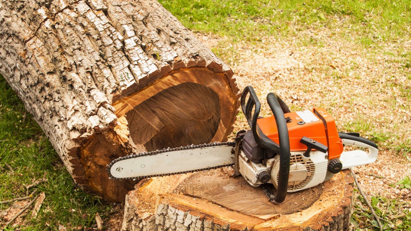 Commercial Tree Removal Services Loveland OH