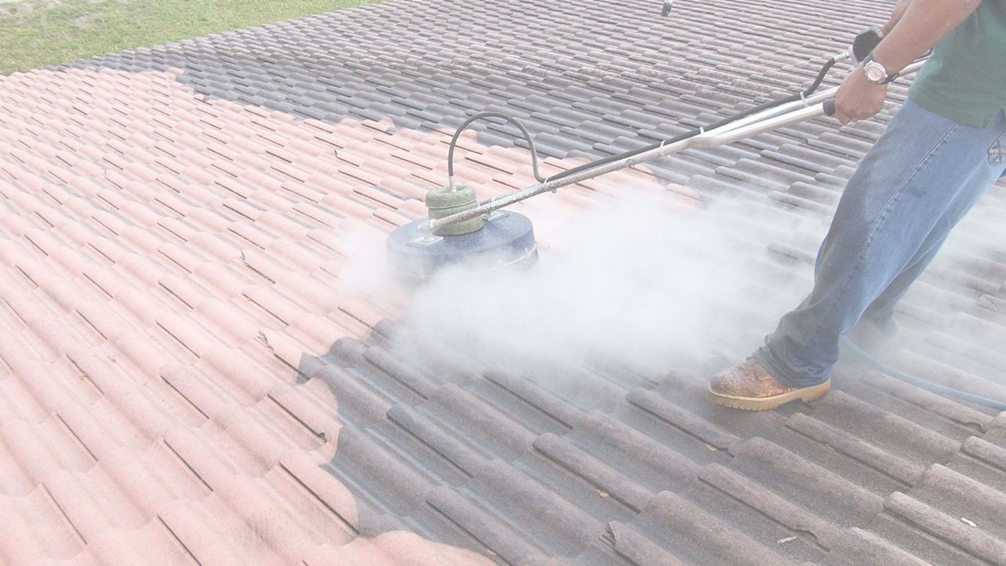 Roof Cleaning Near Converse, TX